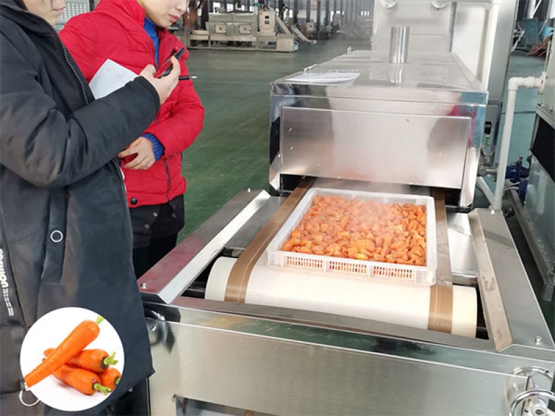 食品蔬菜微波殺菌設備安全級別要求非常高
